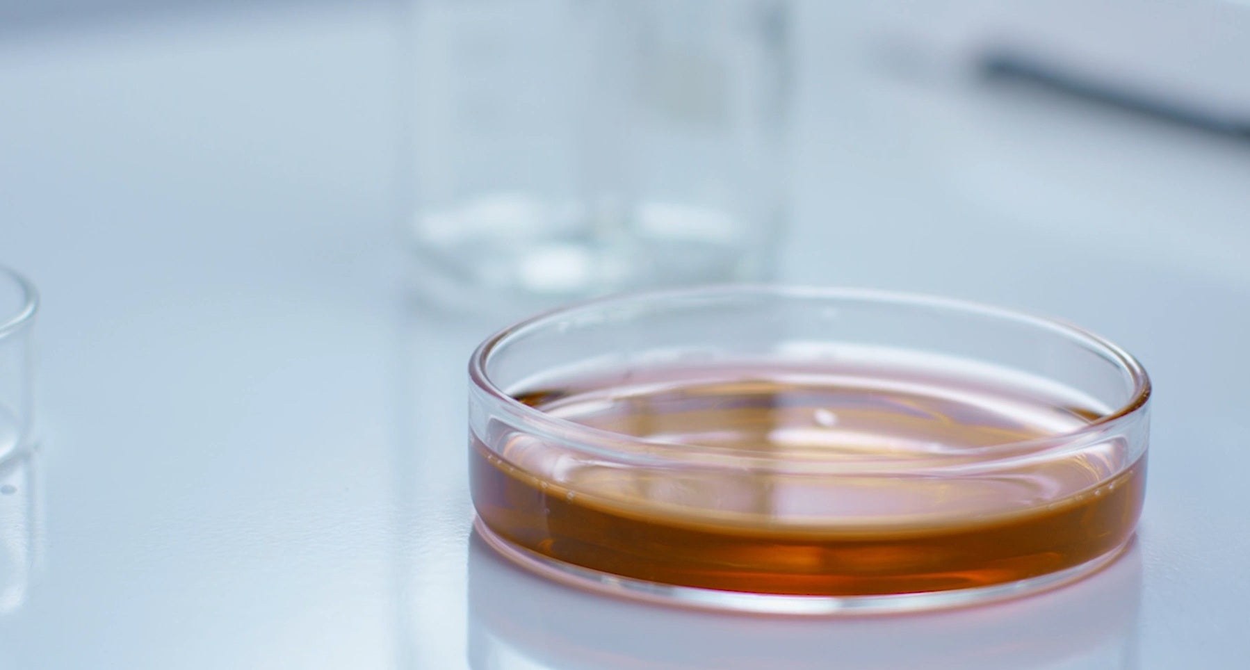 Petri dish of amber solution in a laboratory